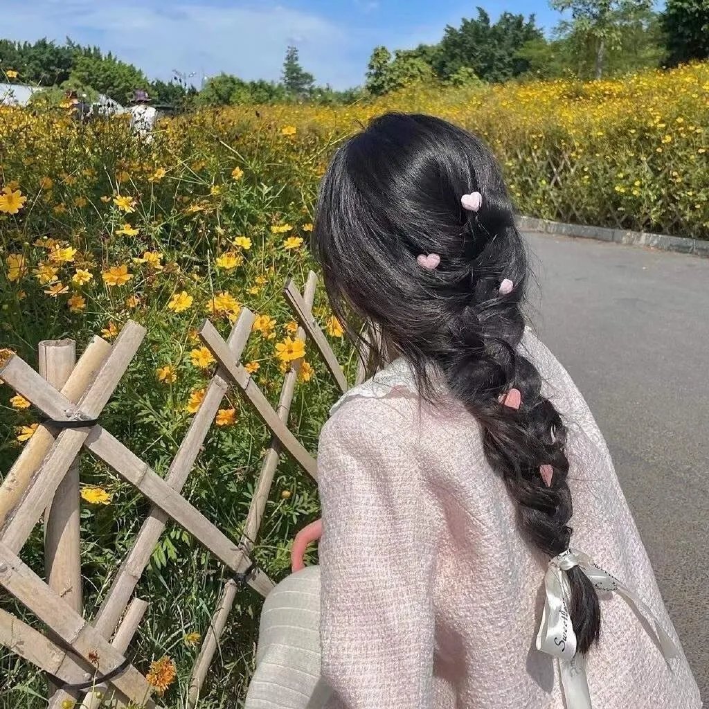 小熊历险记